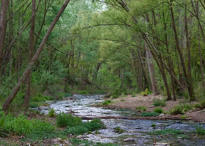 El Refugio Pinos Genil